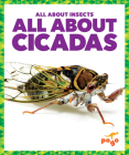 All about Cicadas Cover Image