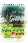 The Adventures of FLASH: An Abandoned Homeless Potbellied Pig (Inspired By a True Story) By Jeffrey J. Fox Cover Image