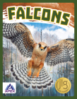 Falcons By Connor Stratton Cover Image