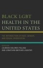 Black LGBT Health in the United States: The Intersection of Race, Gender, and Sexual Orientation By Lourdes Dolores Follins (Editor), Jonathan Mathias Lassiter (Editor) Cover Image
