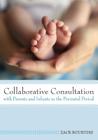Collaborative Consultation with Parents and Infants in the Perinatal Period Cover Image