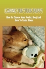 Caring For Your Puppy: How To Choose Your Perfect Dog And How To Train Them: How To Train A Puppy Cover Image