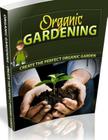 Organic Gardening For Beginners: Why Garden Organically Cover Image
