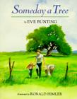 Someday a Tree By Eve Bunting, Ronald Himler (Illustrator) Cover Image