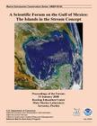 A Scientific Forum on the Gulf of Mexico: The Islands in the Stream Concept By Brian D. Keller, U. S. Department of Commerce, Kim B. Ritchie Cover Image