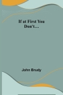 If at First You Don't... By John Brudy Cover Image