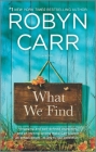 What We Find (Sullivan's Crossing #1) Cover Image
