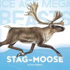 Ice Age Mega Beasts: Stag-moose By Sara Gilbert Cover Image