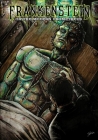 Frankenstein: or The Modern Prometheus By Mary Shelley, Eric Jackson (Adapted by), Charles Yates (Illustrator) Cover Image