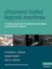 Ultrasound-Guided Regional Anesthesia: A Practical Approach to Peripheral Nerve Blocks and Perineural Catheters (Cambridge Medicine) Cover Image