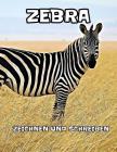 Zebra: zeichnen und schreiben By Kinderzeitschriften Cover Image