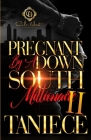Pregnant By A Down South Millionaire 2: An African American Romance By Taniece Cover Image