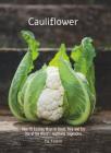 Cauliflower: Over 70 Exciting Ways to Roast, Rice, and Fry One of the World's Healthiest Vegetables By Oz Telem Cover Image