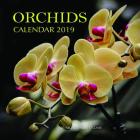 Orchids Calendar 2019: 16 Month Calendar By Mason Landon Cover Image