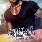 Risk Assessment Lib/E: A Cabrini Law Novel Cover Image