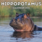 Hippopotamus Calendar 2021: 16-Month Calendar, Cute Gift Idea For Hippo Lovers Women & Men By Handsome Potato Press Cover Image