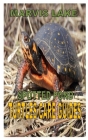 Spotted Pond Turtles Care Guides: Discover the Newest Techniques on How to Take Good Care, Feed, House and Keep This Wonderful turtles Healthy By Marvis Lake Cover Image