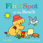 Find Spot at the Beach Cover Image
