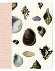 Seashell Journal Cover Image
