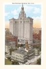 Vintage Journal Municipal Building, New York City By Found Image Press (Producer) Cover Image
