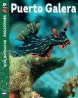 Dive-Navigator Philippines: Puerto Galera Cover Image
