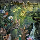 Celestial Journeys by Josephine Wall Mini Wall Calendar 2024 (Art Calendar) By Flame Tree Studio (Created by) Cover Image