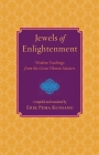 Jewels of Enlightenment: Wisdom Teachings from the Great Tibetan Masters By Erik Pema Kunsang Cover Image