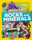 Absolute Expert: Rocks & Minerals By Ruth Strother Cover Image
