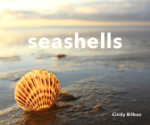 Seashells By Cindy Bilbao Cover Image