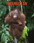 Orangutan: Amazing Facts about Orangutan By Devin Haines Cover Image