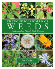 The Wondrous World of Weeds By Pat Collins Cover Image