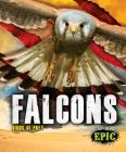 Falcons (Birds of Prey) By Nathan Sommer Cover Image