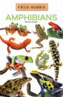 Amphibians (Field Guides) By Rachel Seigel Cover Image