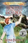 The Search for the Stone of Excalibur (Chronicles of the Stone #2) Cover Image