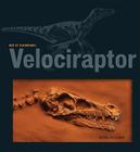 Velociraptor By Sheryl Peterson Cover Image