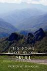'Tis Some Poor Fellow's Skull: Post-Soviet Warfare in the Southern Caucasus By Patrick Wilson Gore Cover Image