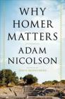 Why Homer Matters: A History By Adam Nicolson Cover Image