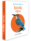 My First Book of Birds (English - Telugu): Pakshulu By Wonder House Books Cover Image