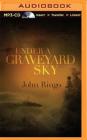 Under a Graveyard Sky (Black Tide Rising #1) By John Ringo, Tristan Morris (Read by) Cover Image