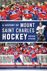 A History of Mount Saint Charles Hockey (Sports) By Bryan Ethier, Assistant Coach Paul Guay (Foreword by) Cover Image