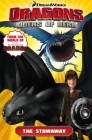 Dragons Riders of Berk: The Stowaway Cover Image