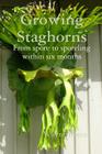 Growing Staghorns from Spore Cover Image