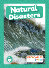Natural Disasters By Louise Nelson Cover Image