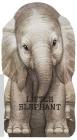 Little Elephant (Mini Look at Me Books) By Laura Rigo (Illustrator) Cover Image