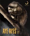 Aye-ayes (Creatures of the Night) By Quinn M. Arnold Cover Image