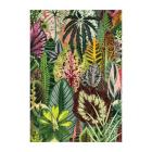 Houseplant Jungle A5 Journal By Galison, Troy Litten (By (artist)) Cover Image