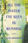 All the Water I've Seen Is Running: A Novel By Elias Rodriques Cover Image