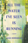 All the Water I've Seen Is Running: A Novel Cover Image