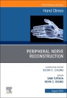 Peripheral Nerve Reconstruction, an Issue of Hand Clinics: Volume 40-3 (Clinics: Orthopedics #40) Cover Image