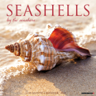 2025 Seashells Wall Calendar Cover Image